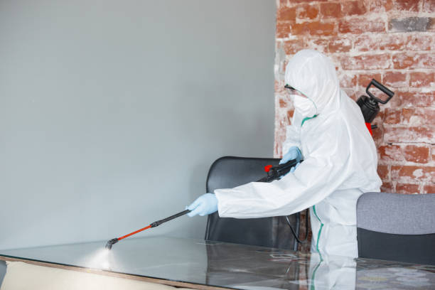 Mold Remediation for Vacation Homes in Whitesboro, NY