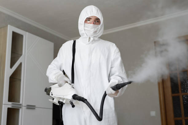 Best Emergency Mold Remediation  in Whitesboro, NY