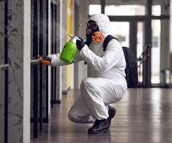 Best Forensic Mold Investigation  in Whitesboro, NY